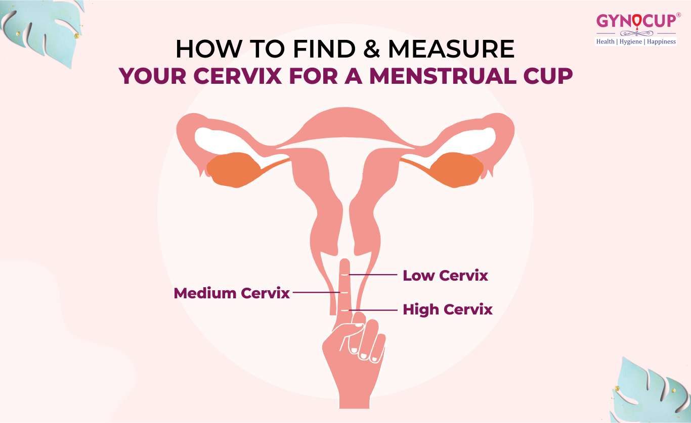 All You Need To Know About Your Cervix Before You Buy A Menstrual Cup