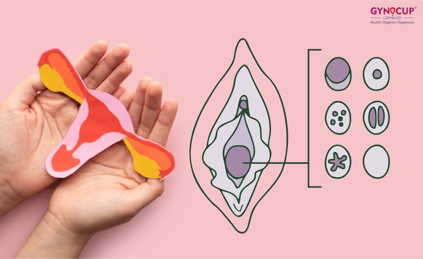The Hymen, Virginity and the Menstrual Cup – What You Need To Know